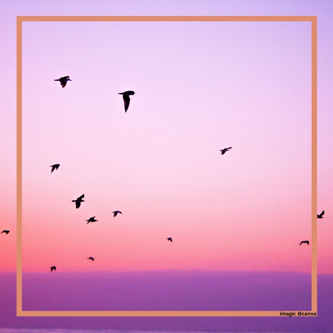 Memetik Hikmah dari Perbedaan Pendapat