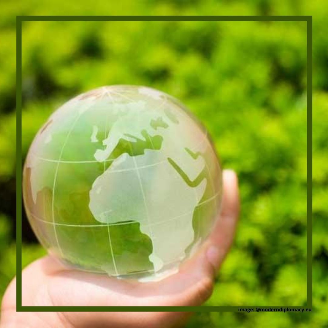 Ecosophy: Dari Filsafat Hingga Tasawuf Lingkungan